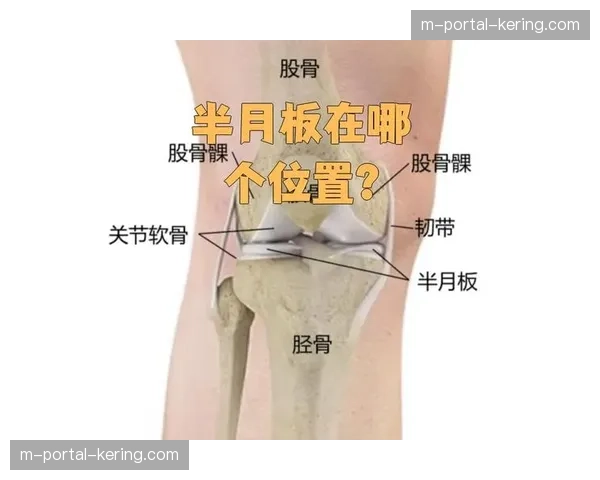 泰山克雷桑膝盖旧伤复发 半月板十字韧带问题困扰进攻核心